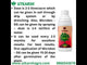 Microbes-DG (Combination of Beneficial Microbes) Bio Fertilizer for Natural NPK, Reduce pH & EC in Soil, Robust Plant Growth & Health, Cost-Effective & Ecofriendly