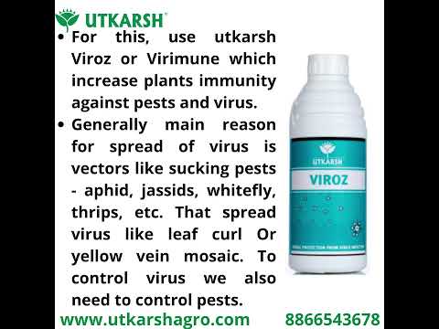 Viroz | Natural Plants Extract | Viricide - Controls Yellow Mosaic & Leaf Curl Virus Sucking Pests- Aphids and White Fly