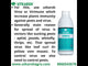 Viroz | Natural Plants Extract | Viricide - Controls Yellow Mosaic & Leaf Curl Virus Sucking Pests- Aphids and White Fly