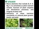 Aquarium Macro Set (Combination of Various Chemicals for Aquarium Plants) | Provides Complete Macronutrient Solution for Healthy Aquarium Plants, Easy to Use and Safe