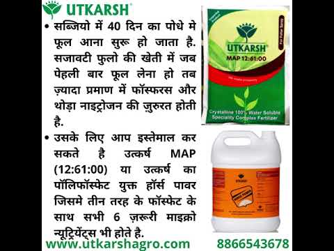 NOP 13 00 45 - Potassium Nitrate, NPK Fertilizers for Plants Growth & Healthy Home Garden | 100% Water Soluble Powder, Growth Boost for Fruits and Flowers