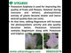 Potassium Schoenite, NPK 00 00 23 Fertilizers for Plants Growth & Home Garden | 100% Water Soluble Powder, Supplement for Fruits & Crops Yields