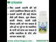 Algae Free for Aquarium Tank | Algae Cleaner, Liquid Algae Scraper for Fish Tank and Algae Remover