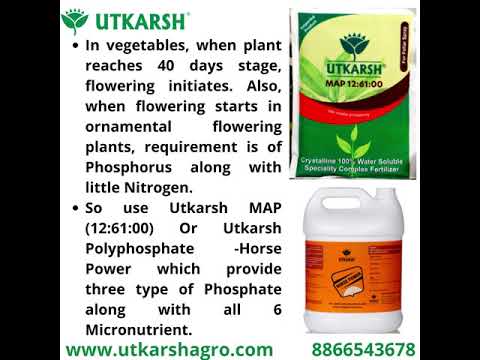 NPK 13 40 13 Fertilizers for Plants | 100% Water Soluble Powder | Complete Plant Food and Nutrition for Healthy Home Garden, Growth Boost for Fruits and Flowers
