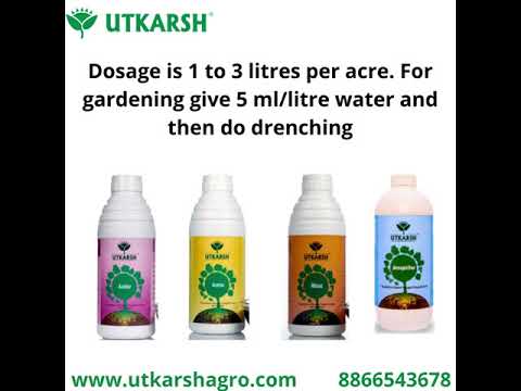 Rhizobium Nitrogen Fixing Bacteria, Liquid Bio Fertilizer for Plants Growth, Increases Organic Matter in Soil | Rhizoz