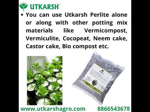 Perlite for Plants Growth, Home Terrace Garden, Indoor & Outdoor Plants, Hydroponics & Horticulture, Conditioner for Potting Soil Mix, Enhances Drainage & Aeration | Size: 2 - 7 mm