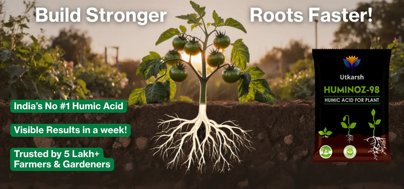 Advertisement for Utkarsh Huminoz-98 humic acid for plants with a growing plant and roots.