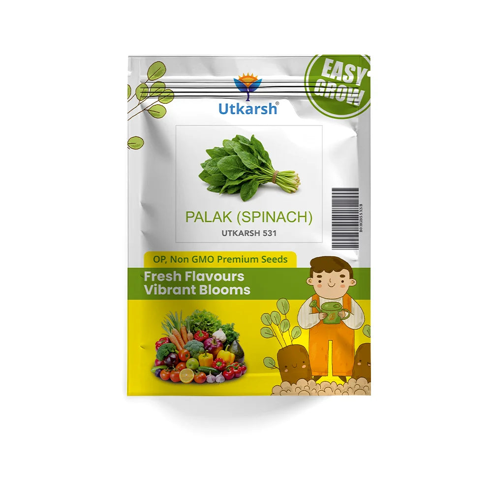 Palak or Spinach Vegetable Seeds (Green, Pack of 16 g), Approx. 1600+ Seeds