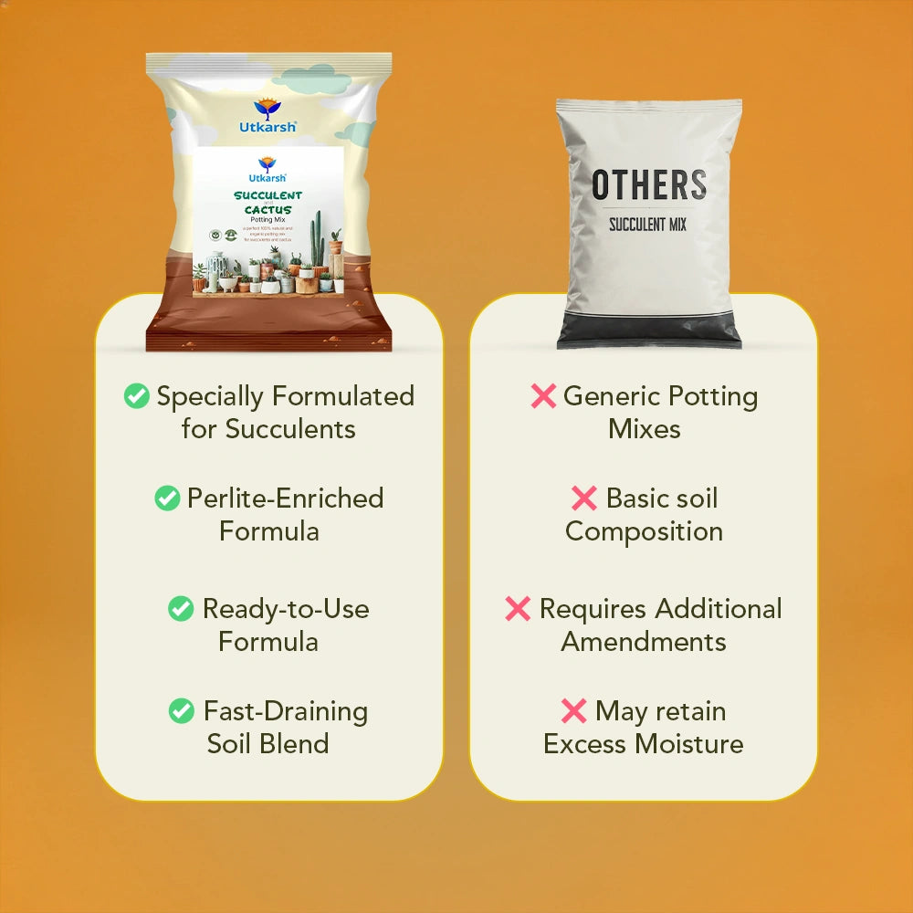 Organic Succulent & Cactus Potting Mix | 100% Natural Soil Blend with Trichoderma, Perlite & Neem Cake | Promotes Strong Roots & Excellent Drainage for Succulents, Cacti & Indoor Plants