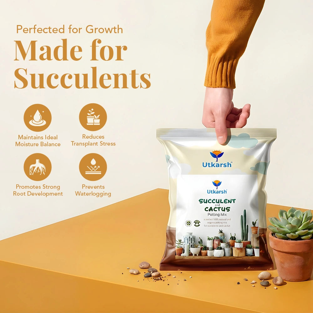 Organic Succulent & Cactus Potting Mix | 100% Natural Soil Blend with Trichoderma, Perlite & Neem Cake | Promotes Strong Roots & Excellent Drainage for Succulents, Cacti & Indoor Plants