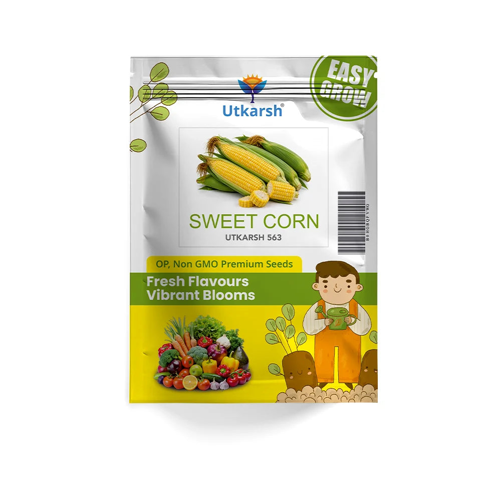 Sweet Corn Hybrid Vegetable Seeds – Yellow (Makka) | 6 g Pack | Easy to Grow for Home, Kitchen & Terrace Gardens