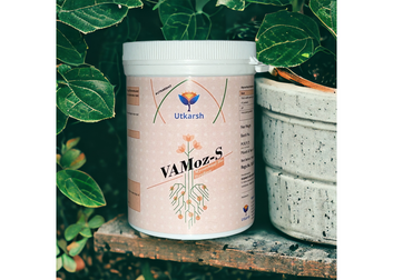 Vamoz-S (Mycorrhiza Powder with 5000 IP/gm)