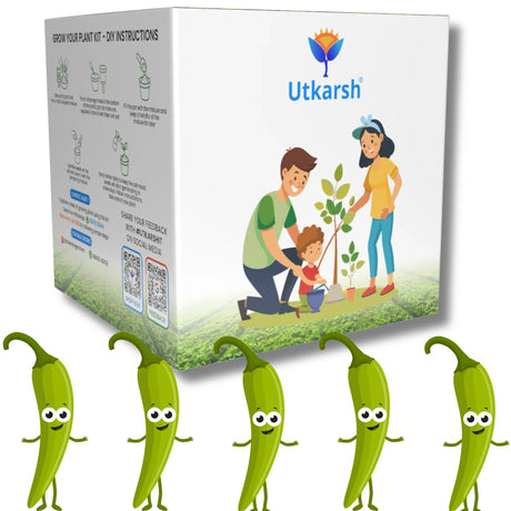 Seed Starter DIY Grow Kit for Gifting | Best Eco-Friendly Return Gift Ideas for Kids & Beginners | Easy to Grow it Yourself Gardening Set for Home & Kitchen Garden | Pack of 1 - Utkarsh Agrochem Pvt ltd. 
