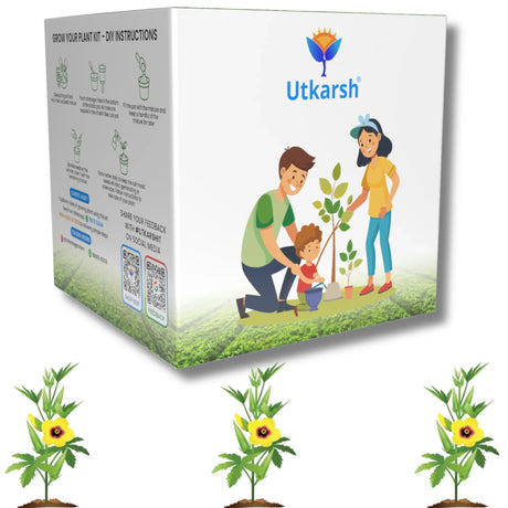 Seed Starter DIY Grow Kit for Gifting | Best Eco-Friendly Return Gift Ideas for Kids & Beginners | Easy to Grow it Yourself Gardening Set for Home & Kitchen Garden | Pack of 1 - Utkarsh Agrochem Pvt ltd. 