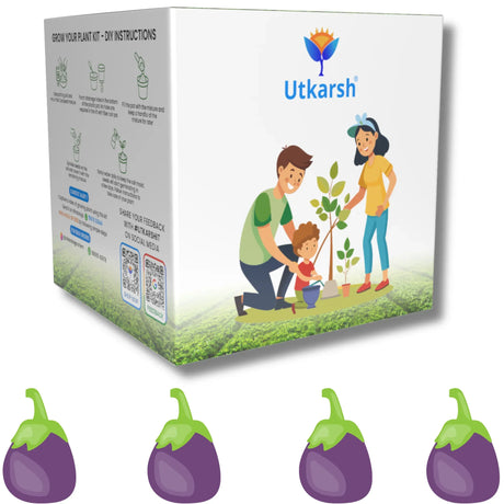 Seed Starter DIY Grow Kit for Gifting | Best Eco-Friendly Return Gift Ideas for Kids & Beginners | Easy to Grow it Yourself Gardening Set for Home & Kitchen Garden | Pack of 1 - Utkarsh Agrochem Pvt ltd. 