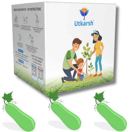 Seed Starter DIY Grow Kit for Gifting | Best Eco-Friendly Return Gift Ideas for Kids & Beginners | Easy to Grow it Yourself Gardening Set for Home & Kitchen Garden | Pack of 1 - Utkarsh Agrochem Pvt ltd. 