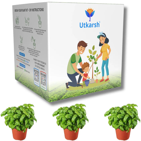 Seed Starter DIY Grow Kit for Gifting | Best Eco-Friendly Return Gift Ideas for Kids & Beginners | Easy to Grow it Yourself Gardening Set for Home & Kitchen Garden | Pack of 1 - Utkarsh Agrochem Pvt ltd. 