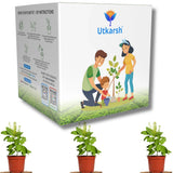 Seed Starter DIY Grow Kit for Gifting | Best Eco-Friendly Return Gift Ideas for Kids & Beginners | Easy to Grow it Yourself Gardening Set for Home & Kitchen Garden | Pack of 1 - Utkarsh Agrochem Pvt ltd. 