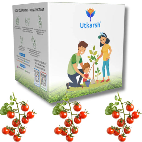 Seed Starter DIY Grow Kit for Gifting | Best Eco-Friendly Return Gift Ideas for Kids & Beginners | Easy to Grow it Yourself Gardening Set for Home & Kitchen Garden | Pack of 1 - Utkarsh Agrochem Pvt ltd. 