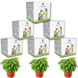 Seed Starter DIY Grow Kit with Gift Bags | Best Eco-Friendly Return Gift Ideas for Kids & Beginners | Easy to Grow it Yourself Gardening Set for Home & Kitchen Garden | Pack of 6 - Utkarsh Agrochem Pvt ltd. 