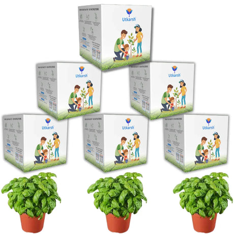 Seed Starter DIY Grow Kit with Gift Bags | Best Eco-Friendly Return Gift Ideas for Kids & Beginners | Easy to Grow it Yourself Gardening Set for Home & Kitchen Garden | Pack of 6 - Utkarsh Agrochem Pvt ltd. 