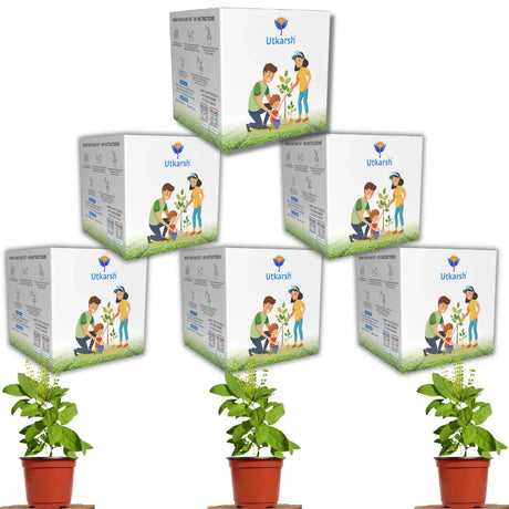 Seed Starter DIY Grow Kit with Gift Bags | Best Eco-Friendly Return Gift Ideas for Kids & Beginners | Easy to Grow it Yourself Gardening Set for Home & Kitchen Garden | Pack of 6 - Utkarsh Agrochem Pvt ltd. 