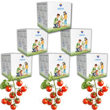 Seed Starter DIY Grow Kit with Gift Bags | Best Eco-Friendly Return Gift Ideas for Kids & Beginners | Easy to Grow it Yourself Gardening Set for Home & Kitchen Garden | Pack of 6 - Utkarsh Agrochem Pvt ltd. 
