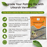 Vermiculite for Home Terrace Garden, Horticulture & Hydroponics 100% Natural, Organic Potting Soil Mix Additive & Nutrient Absorption | Size: 1 - 6 mm