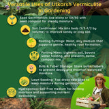 Vermiculite for Home Terrace Garden, Horticulture & Hydroponics 100% Natural, Organic Potting Soil Mix Additive & Nutrient Absorption | Size: 1 - 6 mm