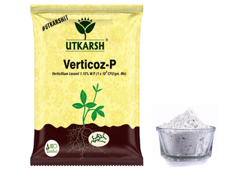 Verticoz-P (Verticillium Lecanii 1.15% W.P.  1 x 10 ^ 8 CFU/gm min.) Bio Insecticide